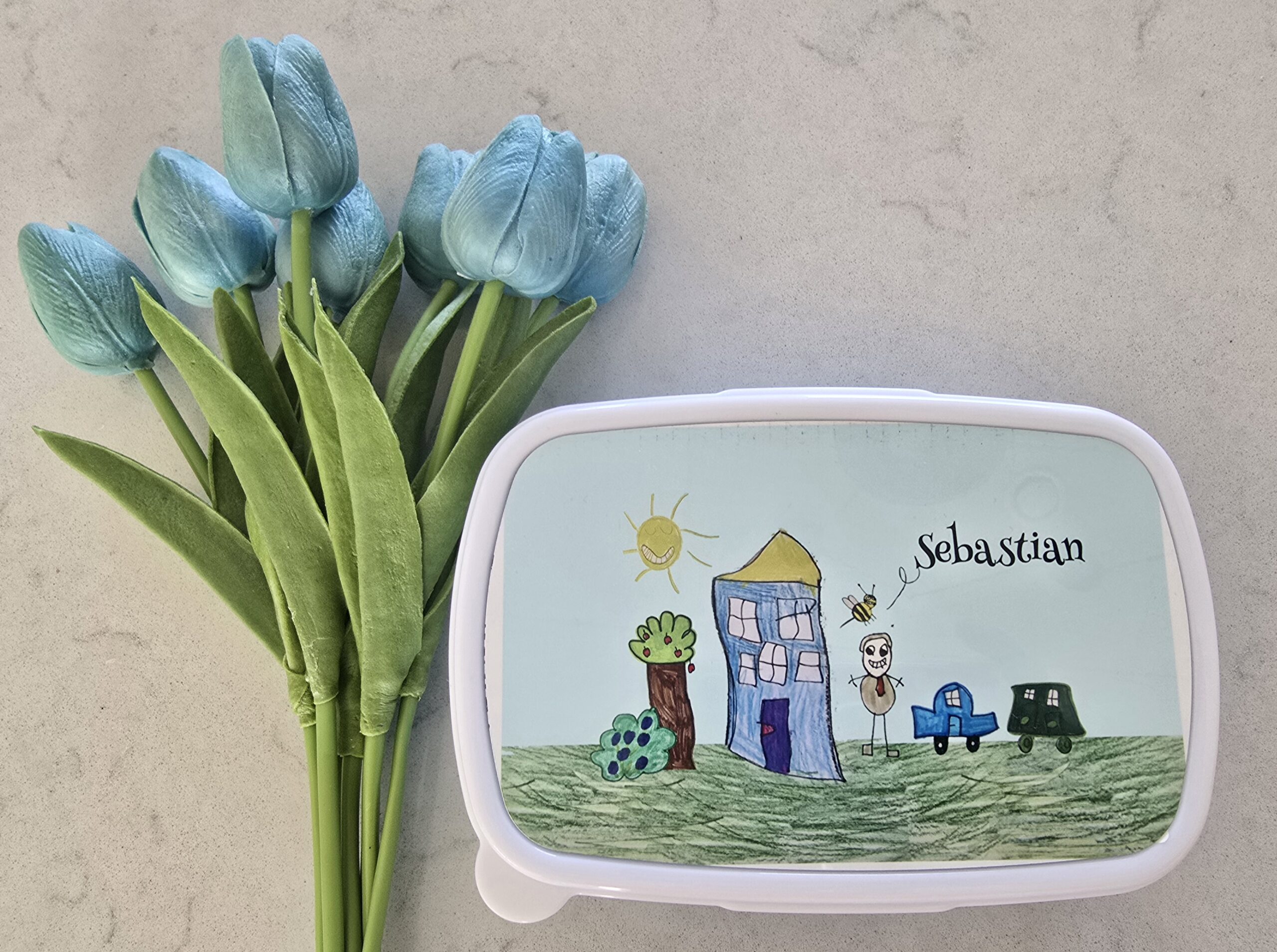 Standard Lunchbox Blue